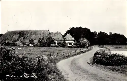 Ak Steenwijk Overijssel, Waldberg