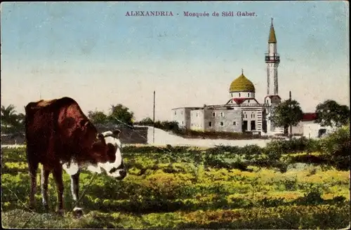 Ak Alexandria Ägypten, Mosquee de Sidi Gaber