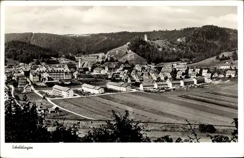 Ak Schelklingen Schwäbische Alb, Panorama