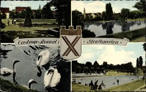 Wappen Ak Castrop Rauxel im Ruhrgebiet, Stadtgarten, Schwäne, Partie im Park