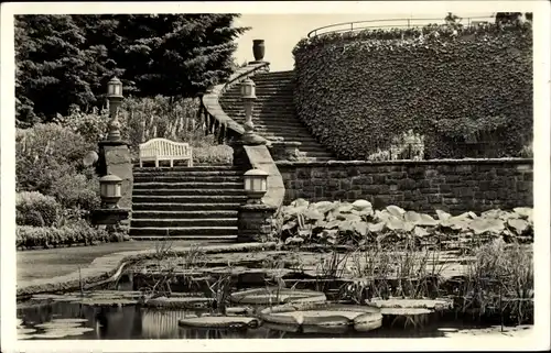 Ak Essen im Ruhrgebiet, Reichsgartenschau 1938, Tropische Planzenschau im Warmwasserbecken