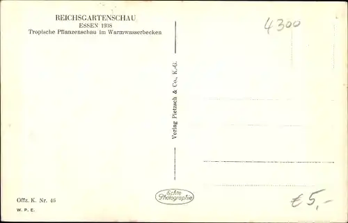 Ak Essen im Ruhrgebiet, Reichsgartenschau 1938, Tropische Planzenschau im Warmwasserbecken