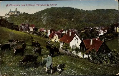 Ak Wernigerode am Harz, Bollhasental und Blick zum Schloss, Hirte mit Rinderherde