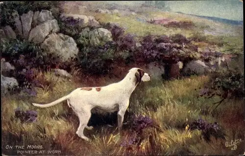 Künstler Ak On the Moors, Pointer at Work, Jagdhund