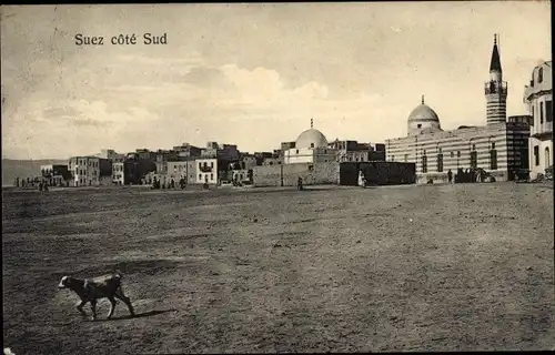 Ak Suez Ägypten, Cote Sud, Blick auf den Ort, Hund