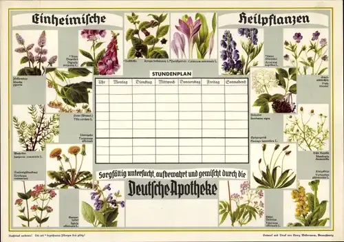 Stundenplan Deutsche Apotheken, Einheimische Heilpflanzen um 1930