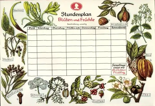 Stundenplan Dr. Oetker Vanillin-Zucker, Blüten und Früchte, Gewürze um 1960