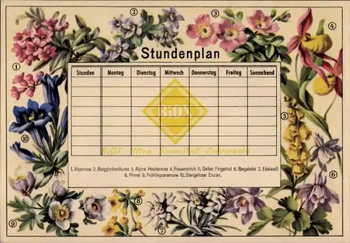 Stundenplan BIOX-Ultra Sauerstoff-Zahnpflege, Bilderdienst Sammelbilder um 1950