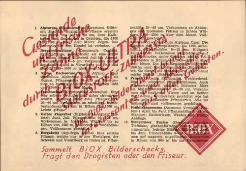 Stundenplan BIOX-Ultra Sauerstoff-Zahnpflege, Bilderdienst Sammelbilder um 1950