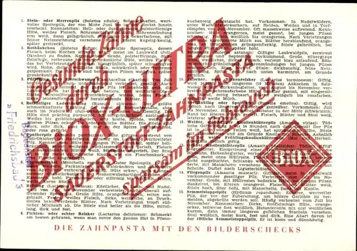 Stundenplan BIOX-Ultra Sauerstoff-Zahnpflege, Pilze, Steinpilz, Rothäubchen um 1960