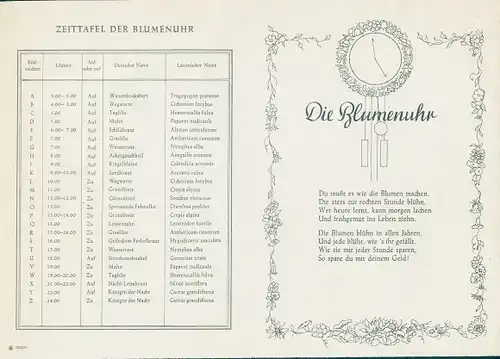 Stundenplan Sparkassen Verlag, Zeittafel der Blumenuhr, Künstlerplan um 1930