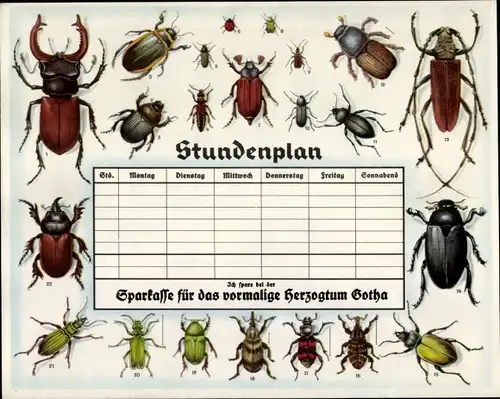 Stundenplan Sparkasse Herzogtum Gotha, Käfer Hirschkäfer Mistkäfer etc. um 1930