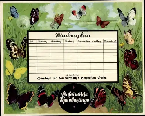 Stundenplan Sparkasse Herzogtum Gotha, Einheimische Schmetterlinge, Insekten, Gliederfüßler um 1930