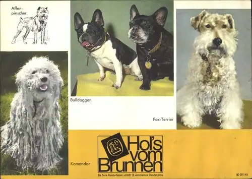 Stundenplan Brunnen Zeichenblock, Hunde, Bulldoggen, Fox-Terrier, Komondor um 1970