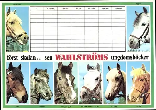 Stundenplan Wahlströms Jugendbücher Schweden, Pferde, Pferderassen um 1980