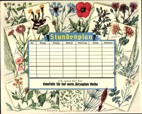 Stundenplan Sparkasse Herzogtum Gotha, Unkräuter, Blumen Mohnblume um 1930