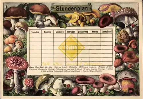 Stundenplan BIOX-Ultra Sauerstoff-Zahnpasta, Giftige und essbare Pilze um 1960