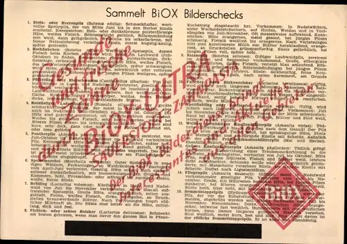 Stundenplan BIOX-Ultra Sauerstoff-Zahnpasta, Giftige und essbare Pilze um 1960