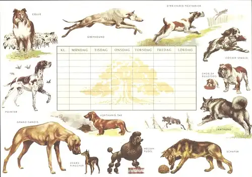 Stundenplan Sveriges Sparbanken, Schweden, Hunderassen: Greyhound, Dogge um 1970