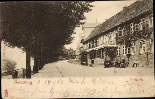 Ak Ratzeburg im Herzogtum Lauenburg, Weinberg