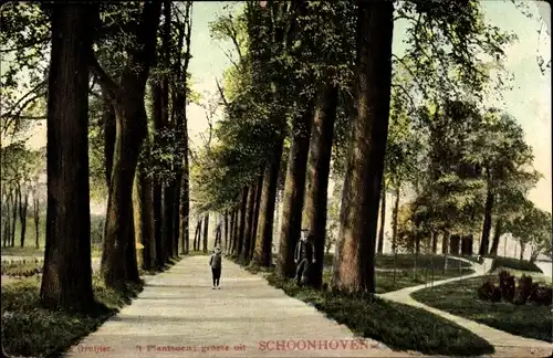 Ak Schoonhoven Südholland Niederlande, Plantsoen, Allee im Park