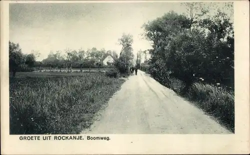 Ak Rockanje Südholland Niederlande, Boomweg