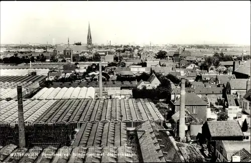 Ak Wateringen Südholland, Panorama van tuinderijen met druivenkassen