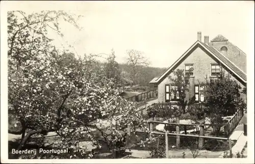 Ak Poortugaal Südholland, Boerderij, Wohnhaus, Blühender Baum