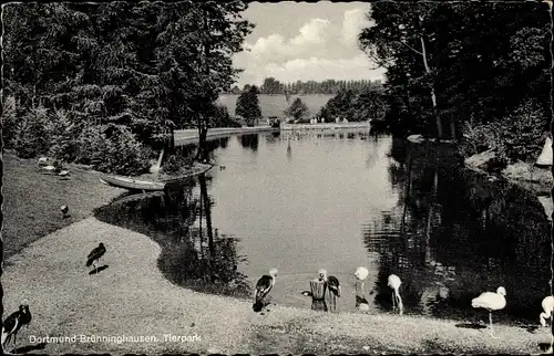 Ak Brünninghausen Dortmund, Teichpartie im Tierpark