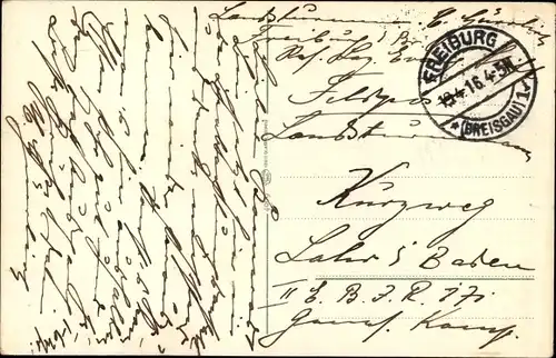 Ak Freiburg im Breisgau, Münster