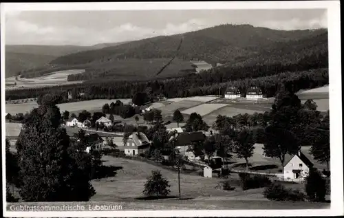 Ak Eubabrunn Erlbach im Vogtland, Blick auf den Ort, Wald, Berge