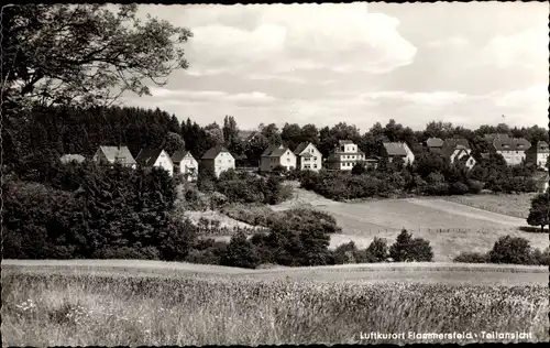 Ak Flammersfeld im Westerwald, Teilansicht