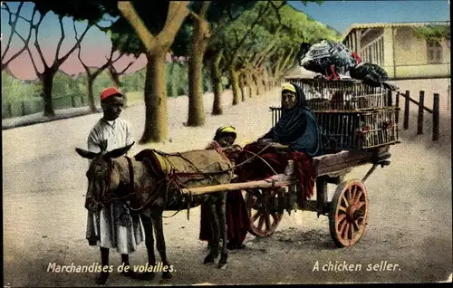 Ak Marchandises de volailles, A chicken seller, ägyptische Tracht, Esel