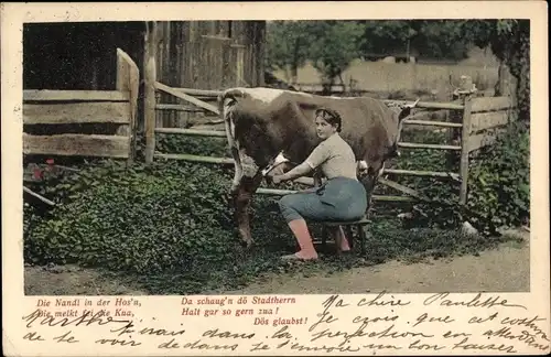 Ak Frau beim Melken einer Kuh, Die Nandl in der Hos'n