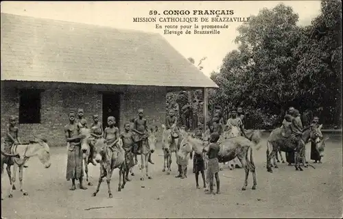 Ak Brazzaville Franz. Kongo, En route pour la promenade, Élevage de Brazzaville, ânes, enfants