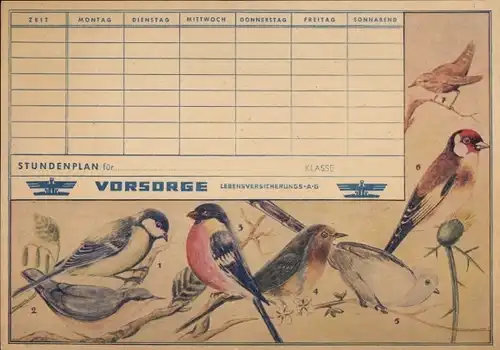 Stundenplan Vorsorge Lebensversicherung AG, Friedrich-Engels-Straße Kassel, Vögel Meise um 1950