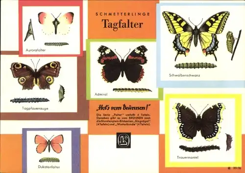 Stundenplan Brunnen Zeichenblock, Schmetterlinge, Tagfalter um 1960