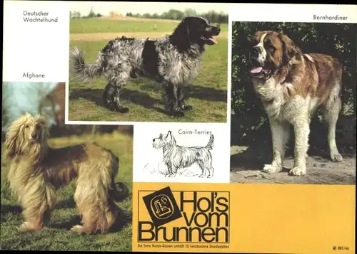 Stundenplan Brunnen-Hefte, Hunde, Deutscher Schäferhund, Bernhardiner, Afghane, Terrier