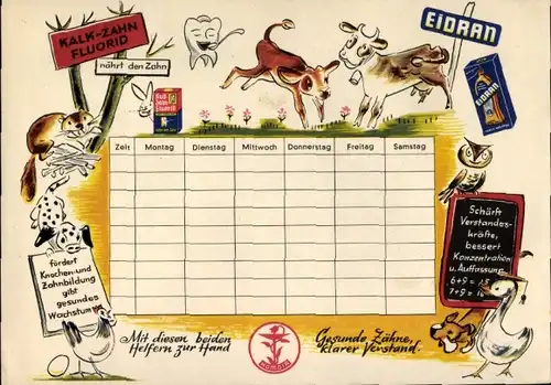 Stundenplan Eidran Zahnpasta, Zahn Fluorid, Zahnverfall, Kalk-Zahn-Fluroid hemmt Zahnverfall um 1960