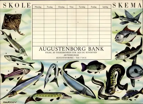 Stundenplan Augustenborg Bank, Dänemark, Fische, Aal, Stör, Hecht, Flunder um 1970
