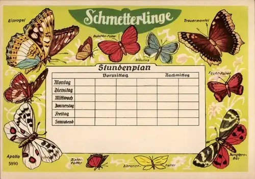 Stundenplan Apotheke Camberg (Nassau), Schmetterlinge, Apollo, Zitronenfalter um 1960