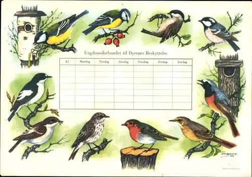 Stundenplan Verein für Tierschutz in Dänemark, Einheimische Vogelarten um 1960