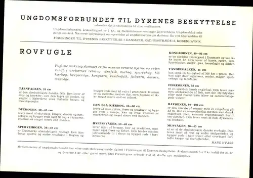 Stundenplan Dänemark, Jugenverband für Tierschutz, Greifvögel Adler um 1970