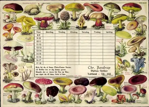 Stundenplan Optiker Uhrmacher Chr. Jandrup Toftlund Dänemark - Flora-Fauna Pilze um 1950