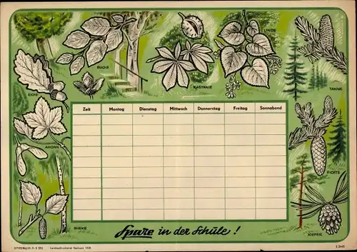 Stundenplan DDR Sparkasse Bäume unserer Heimat, Birke, Ahorn, Eiche um 1960