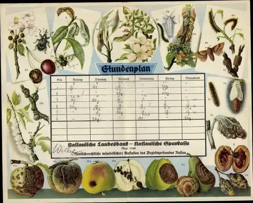 Stundenplan Nassauische Landesbank & Sparkasse, Pflanzenschutz um 1930