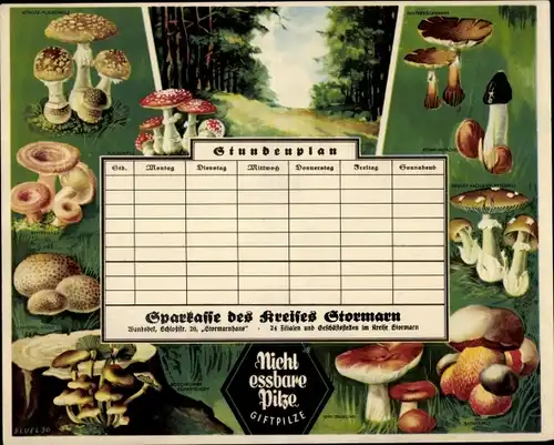 Stundenplan Sparkasse des Kreises Stormarn, Nicht essbare Pilze, Giftpilze, Fliegenpilz um 1930
