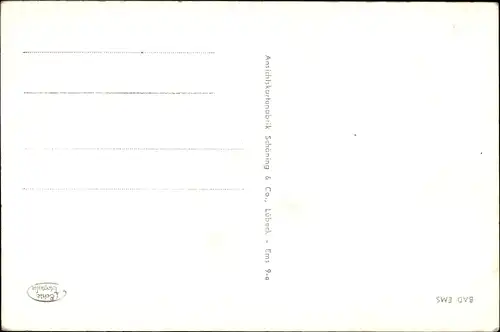 Ak Bad Ems an der Lahn, Panorama, Brücken