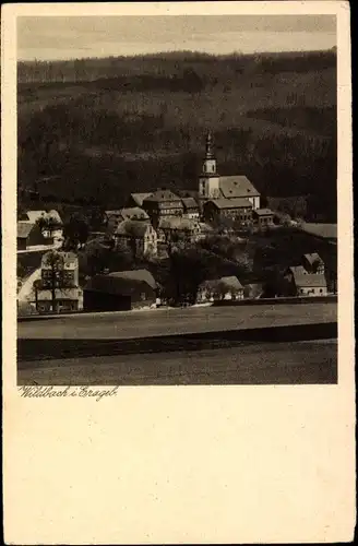 Ak Wildbach Bad Schlema im Erzgebirge Sachsen, Blick auf den Hartensteiner Wald