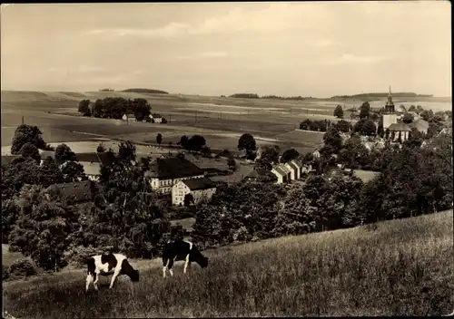 Ak Niederbobritzsch Bobritzsch im Erzgebirge, Kühe, Panorama